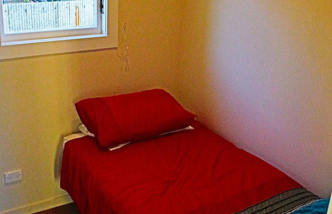 The Green Gecko - Foto 5