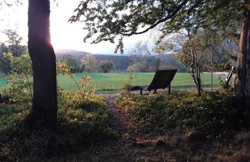 Apartment am Buchenhain - Foto 34