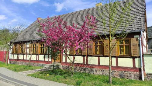 Historisches Bauernhaus - Foto 2