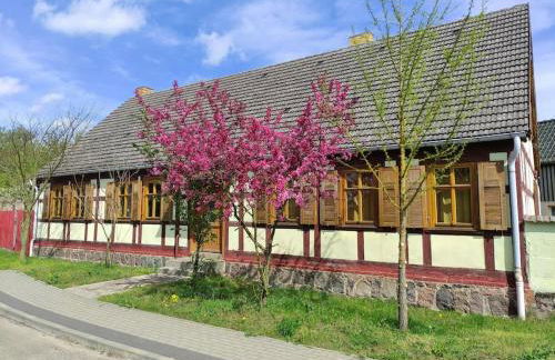 Historisches Bauernhaus - Foto 2