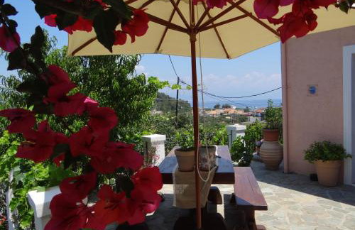 Harry's Studios - Photo 60