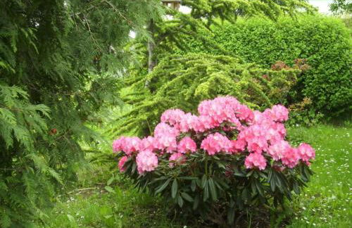 Apartment at the Knappensee in Gross Sarchen - Foto 37