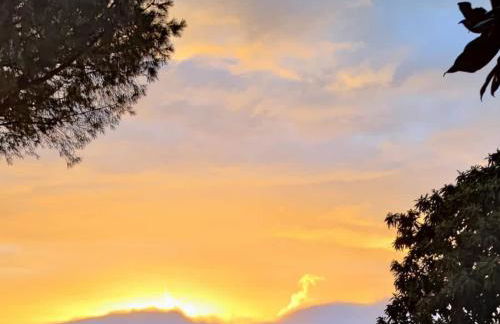 All'ombra del pino ALLOGGIO TURISTICO - Foto 34