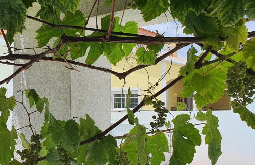 Encantadora Vila Amoreira, perto Óbidos O Refúgio perfeito - Foto 2