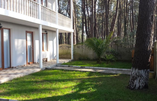 House by the sea Kaprovani Shekvetili Batumi - Photo 1