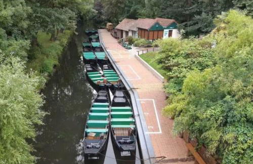 Apt T3 lumineux & Confort *Proche Centre-ville* - Foto 15