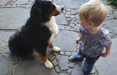 Biohof Neihausmo - Foto 28