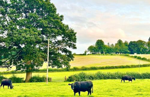 Fox Acre Lodge - Amazing Views - Foto 45