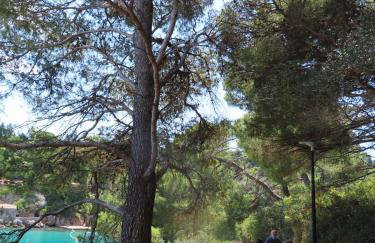 Renaissance Palace Ghetaldi 1516 - Foto 76