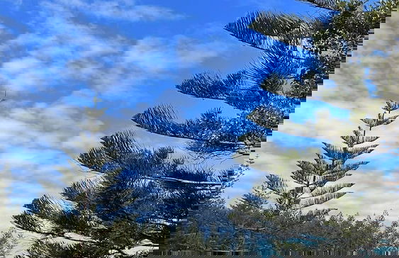 Channers on Norfolk - Foto 80