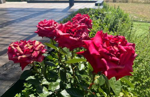 El MIRADOR DEL TORMES - Foto 42