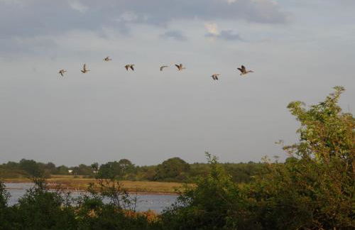 Apartment Geltinger Bucht by Interhome - Foto 29