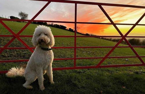 Mc Courts Cottage - Foto 14