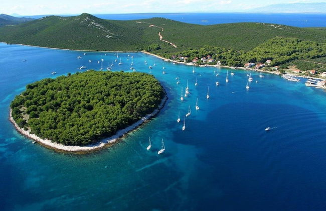 Apartment in Molat With sea View - Foto 7