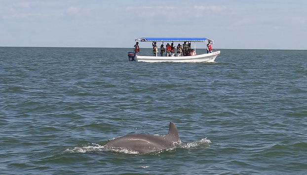 Aguada Island Tour from Campeche City - Photo 2