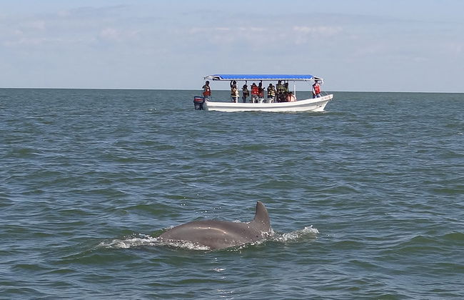 Escursione all'Isola di Aguada da Campeche - Foto 2
