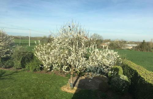 La Petite Chaunière - Foto 19