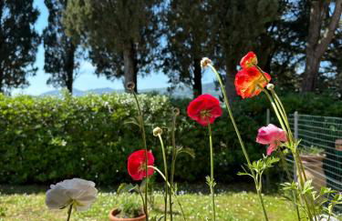 Podere Quercia al Santo - Foto 14