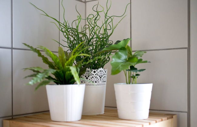 Cute Yellow Handmade House With Garden - Foto 49