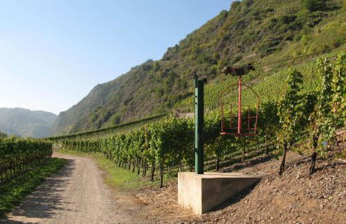 Ferienwohnung Schneemann - Foto 31