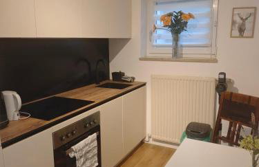 Ruhige FeWo Soutterainwohnung im Grünen - Foto 6