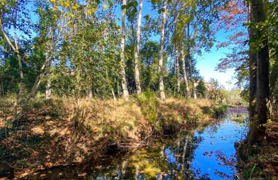 Rural Can Garriga - Foto 25