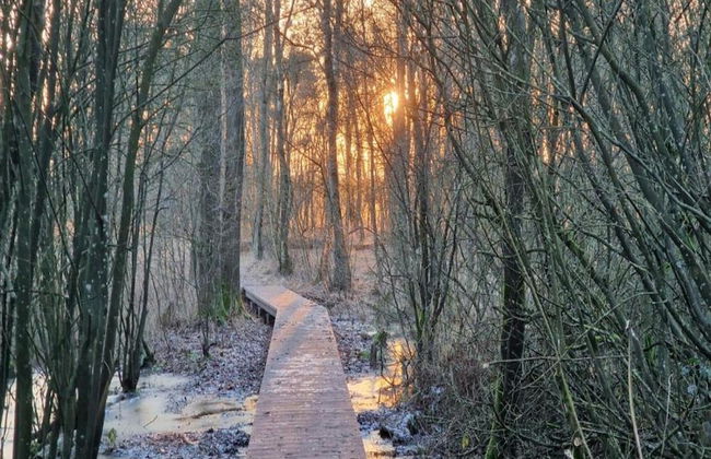 Comfy Groenlo Apartment With Garden - Foto 74