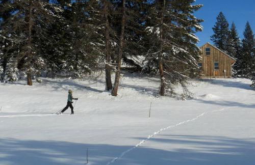 Immaculate Cabin Rental with a Hot Tub next to Lake Pend Oreille in Bonner County, Idaho - Foto 15