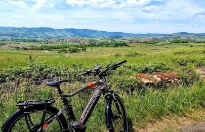 Maison de ville Le Colombier Proche Pistes Cyclables - Foto 29