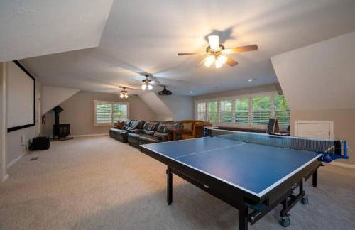 Hobbs Mill Ski Lodge Theater Games Dogs OK - Photo 4