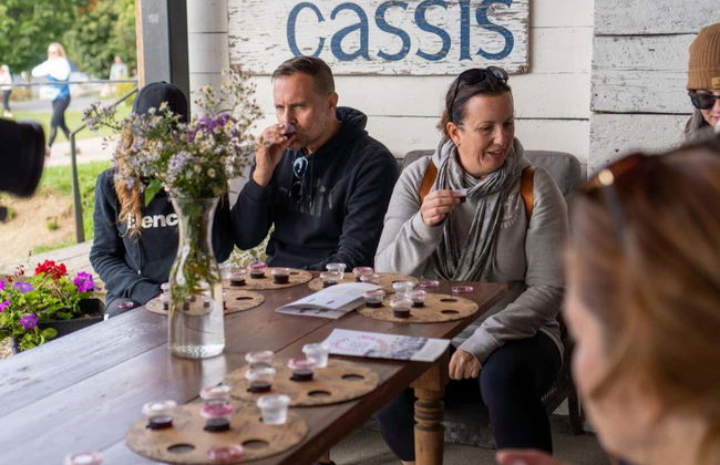 Île d'Orléans Electric Bike Tour - Photo 9