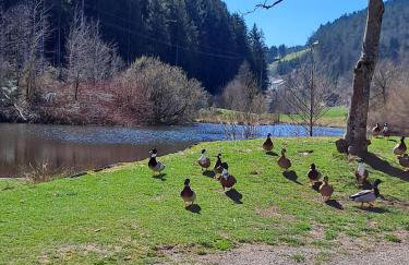Les Papillons - Foto 30