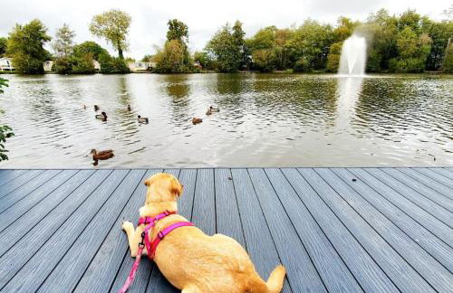 Coghurst Hall Holiday Home Sleeps 6, 2 bedrooms - Foto 36