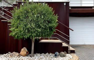 Casa vistas al mar con piscina y barbacoa - Photo 7