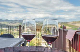 AGRITURISMO SAN NICOLINO - Foto 100