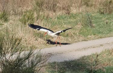 Mana Village - Jacuzzi & Sauna - Foto 64