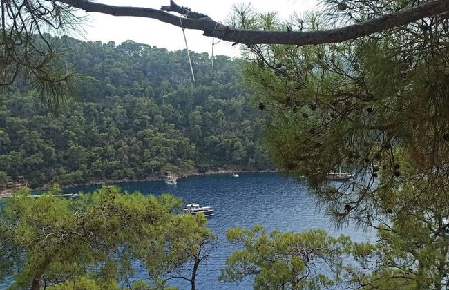 Villa B&D - Photo 47