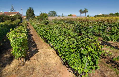 Casa Rural El Adelantado - Foto 32