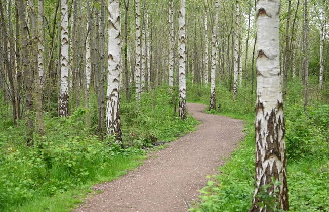 10 Person Holiday Home in Dragor-by Traum - Foto 25