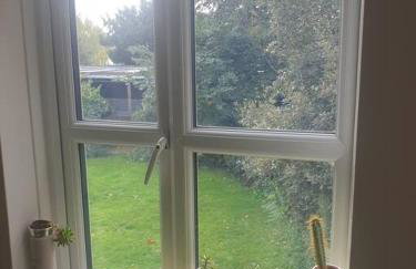 Peaceful room on sharing flat in Wimbledon - Foto 14
