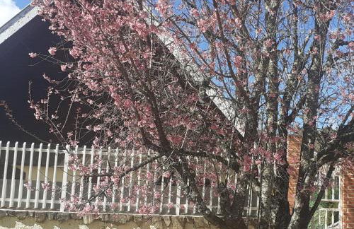 Chalé da Cerejeira - Foto 2