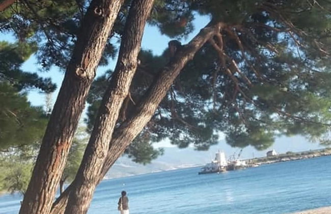 Apartmant Bionda Novi Vinodolski, cozy and nice apartment for 4 people in the city center - Photo 44