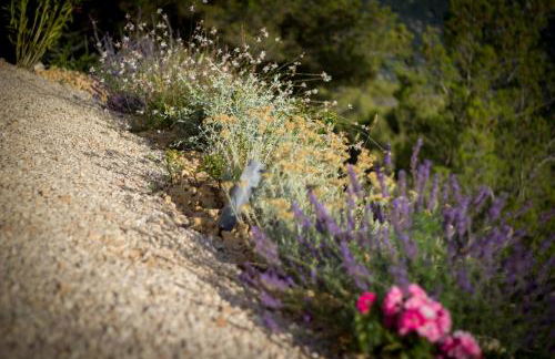 À mont nos hôtes 2 - Foto 24