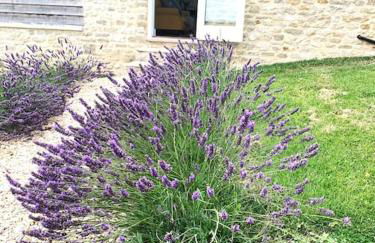 Bugley Cottage - Foto 36