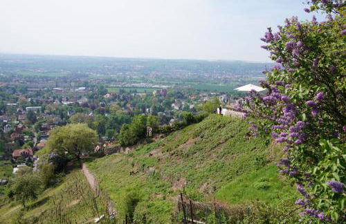 Ferienwohnung TOSCANA - Foto 24