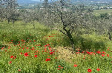 La Casetta - Photo 20