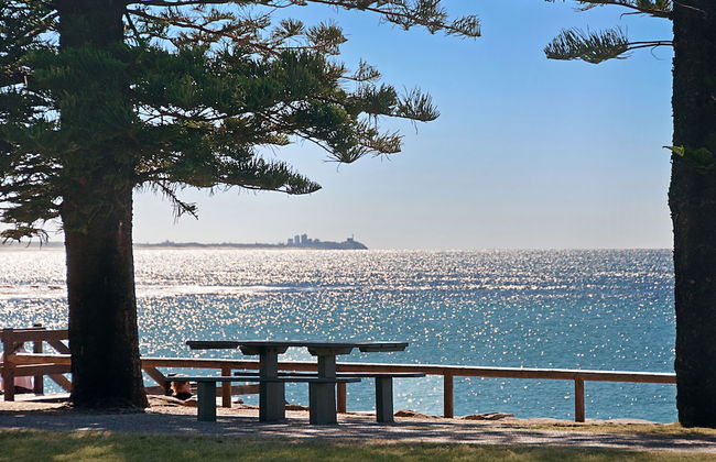 Norfolks on Moffat Beach - Foto 79