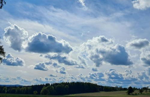 Gemütliche Ferienwohnung mit Sauna und Balkon im Zentrum von Bad Elster - Photo 23