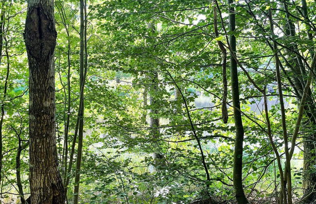 6 Person Holiday Home in Olofstrom-by Traum - Foto 12