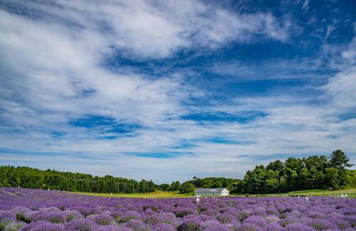 Private Hot Tub The Perch 14 Patio 2BR Downtown - Foto 33